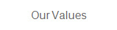Our Values