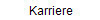 Karriere