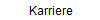 Karriere